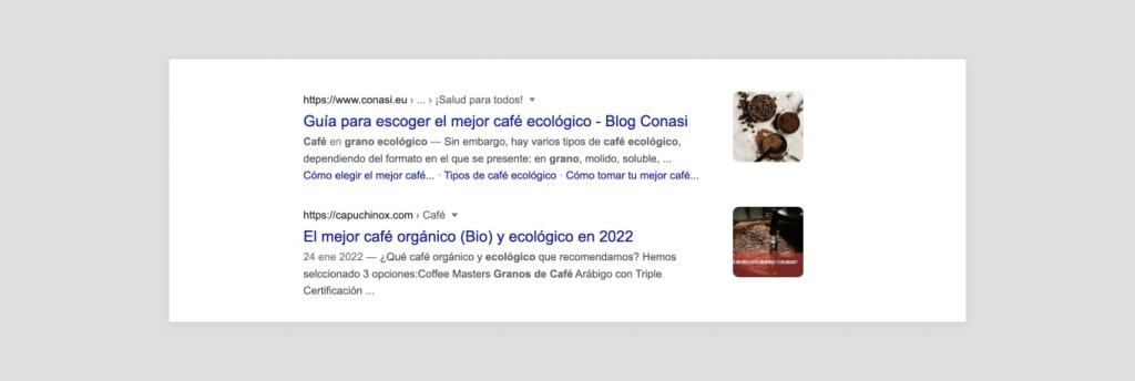 Resultados de búsqueda orgánicos mostrados por Google