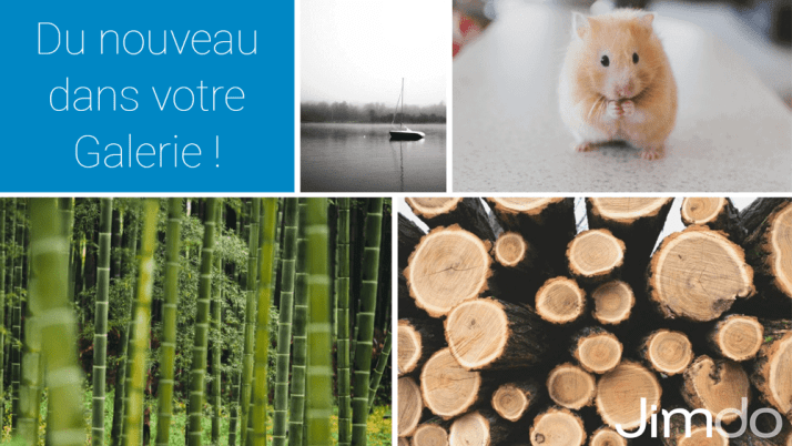 Découvrez les toutes nouvelles options de la galerie d’images !